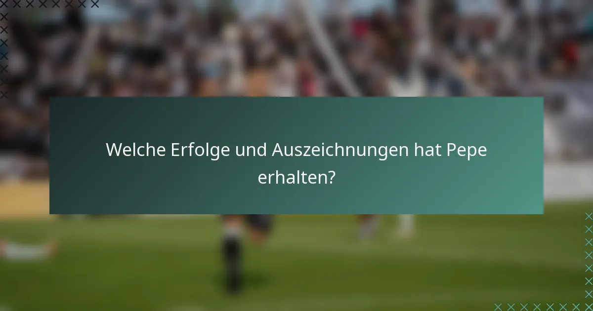 Welche Erfolge und Auszeichnungen hat Pepe erhalten?