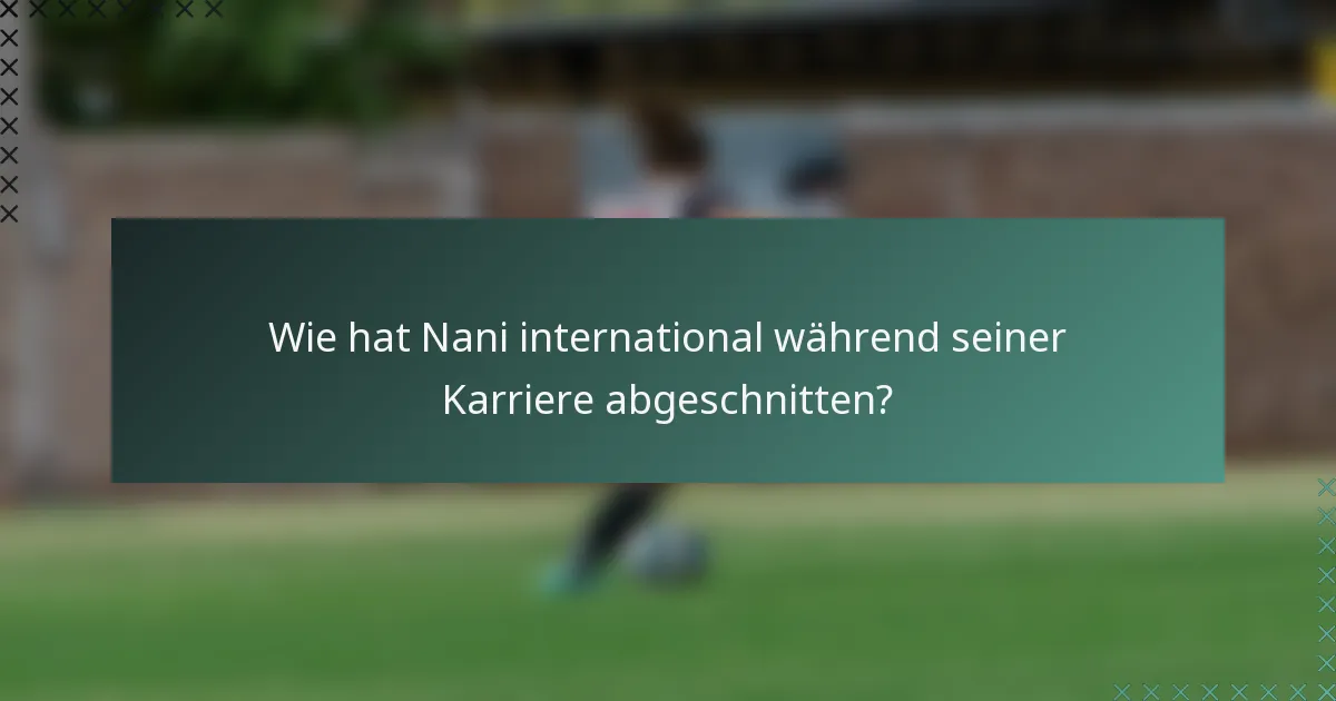 Wie hat Nani international während seiner Karriere abgeschnitten?