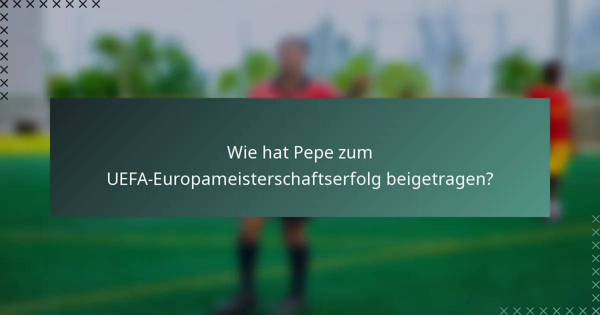 Wie hat Pepe zum UEFA-Europameisterschaftserfolg beigetragen?